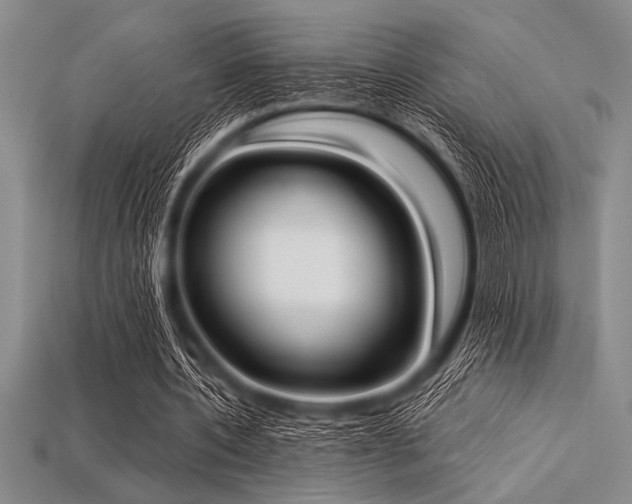 X0000113320532200909141357