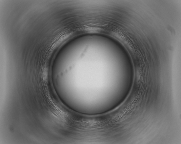 X0000113320533200909141357