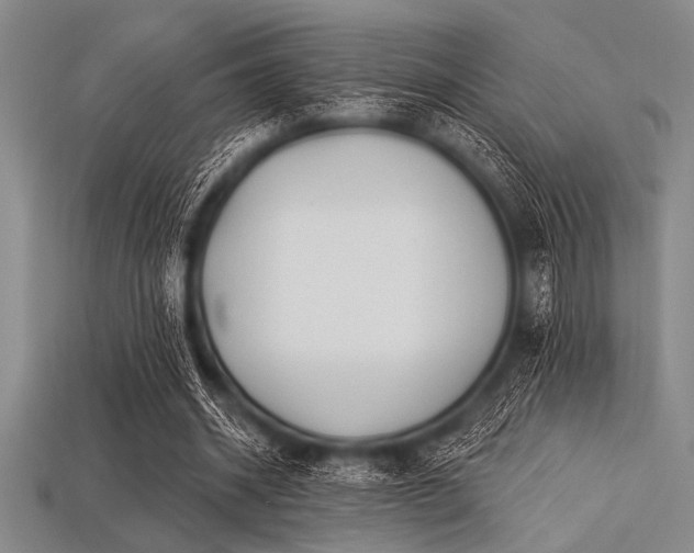 X0000113320534200909141357