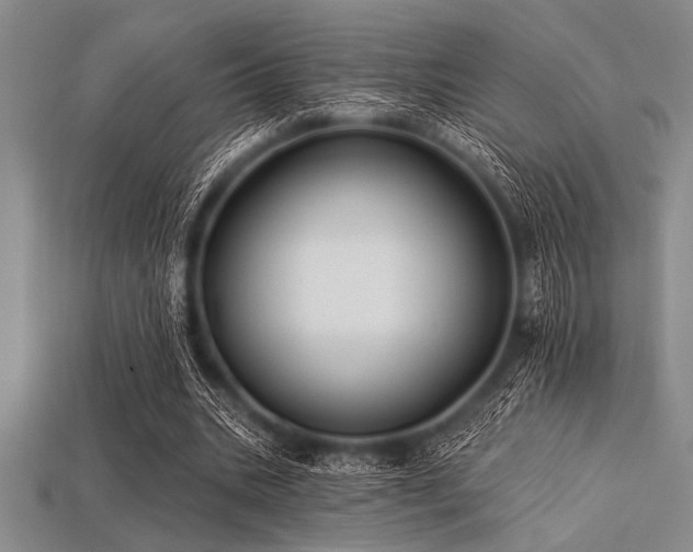 X0000113320535200909141357