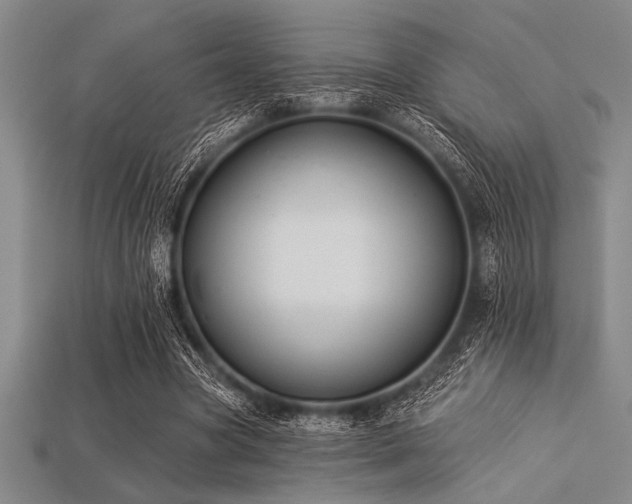 X0000113320537200909141357