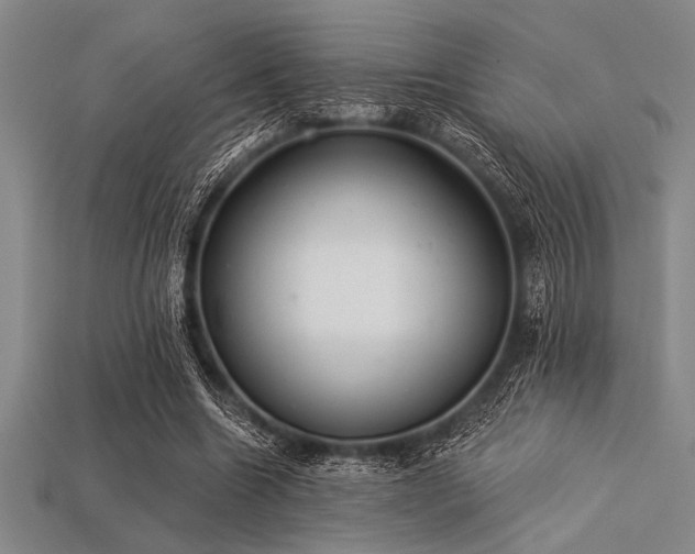 X0000113320538200909141357