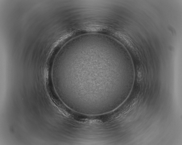 X0000113320539200909141357