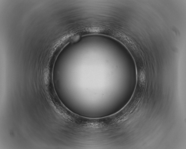 X0000113320540200909141357