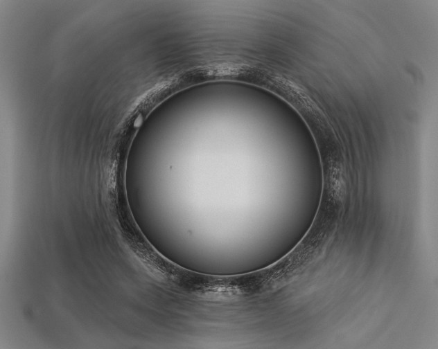 X0000113320543200909141357