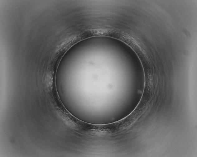 X0000113320545200909141357