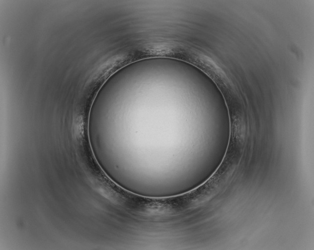 X0000113320549200909141357