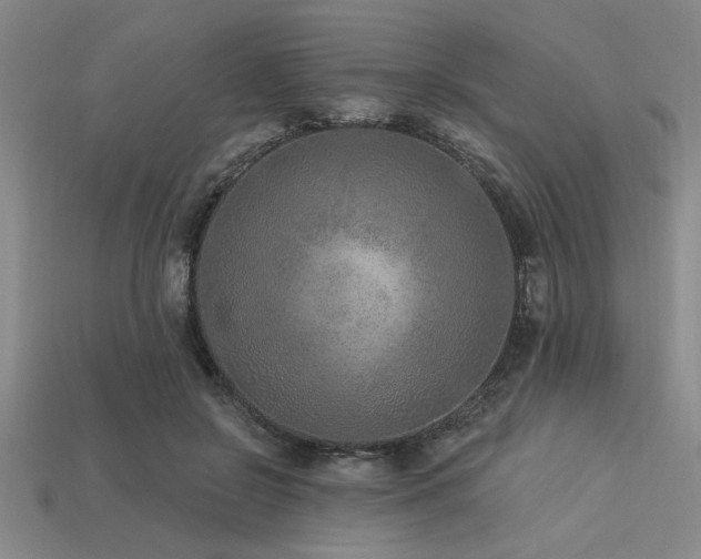 X0000113320550200909141357