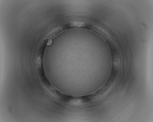 X0000113320551200909141357