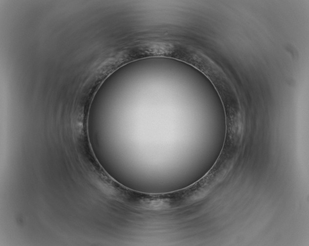 X0000113320553200909141357