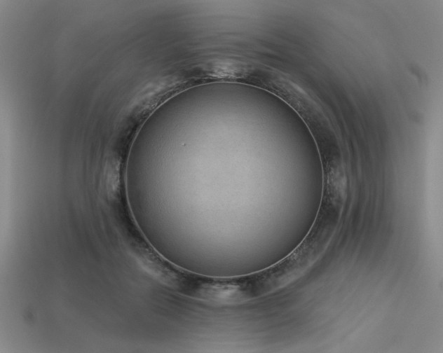 X0000113320554200909141357