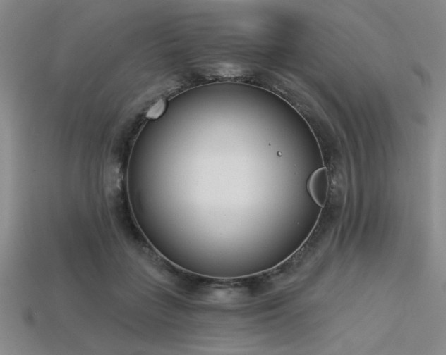 X0000113320555200909141357