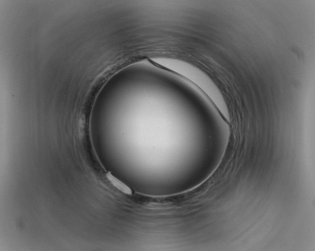 X0000113320556200909141357