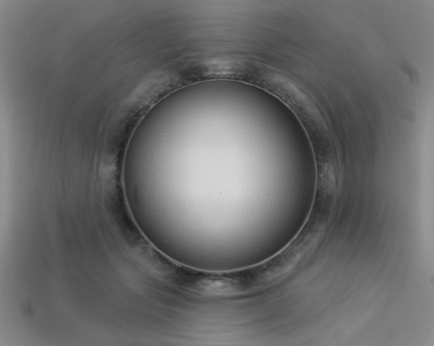 X0000113320557200909141357