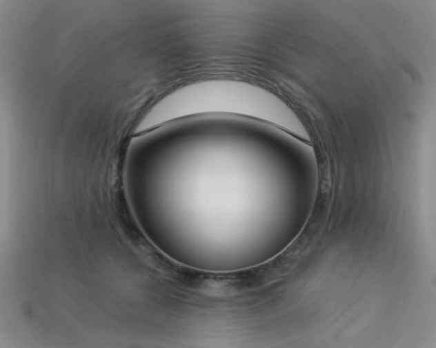 X0000113320560200909141357