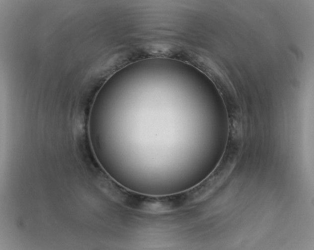 X0000113320561200909141357