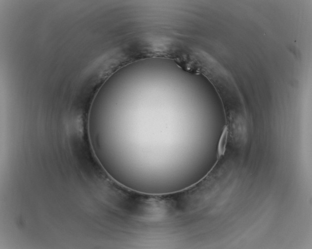 X0000113320562200909141357