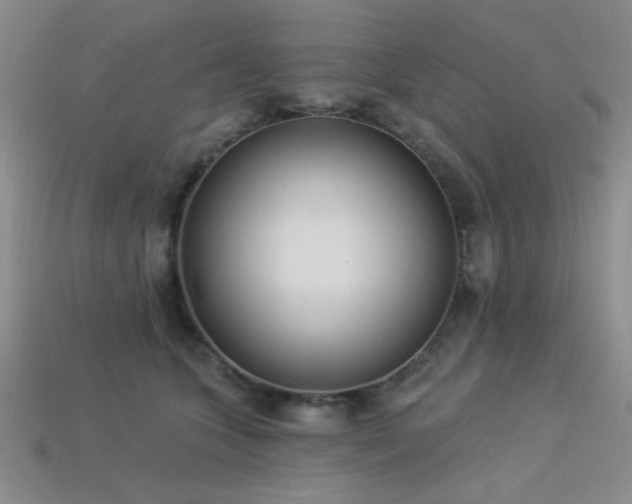 X0000113320563200909141357