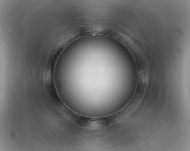 X0000113320564200909141357