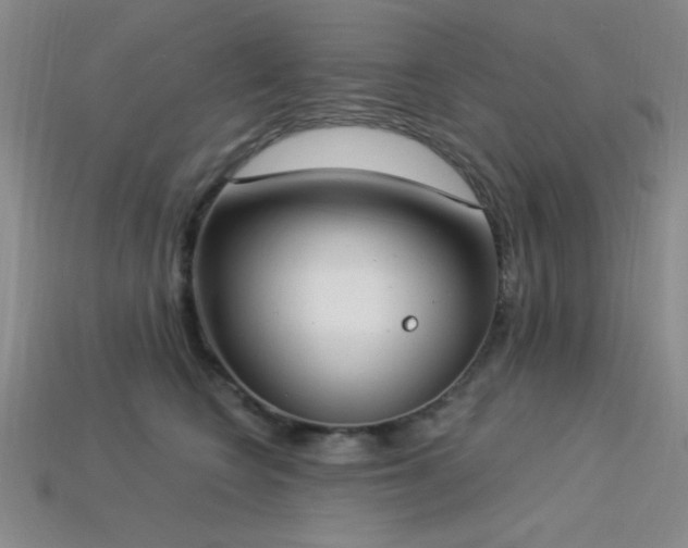 X0000113320566200909141357