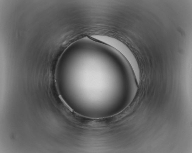 X0000113320568200909141357