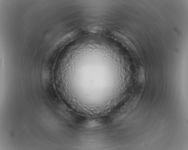 X0000113320569200909141357