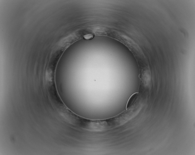 X0000113320571200909141358