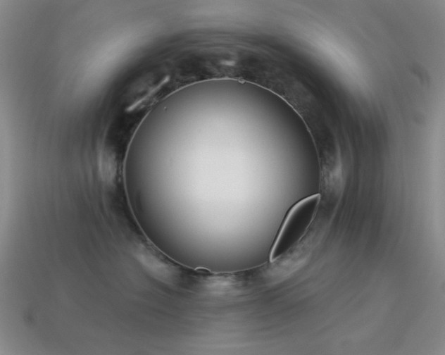 X0000113320574200909141358