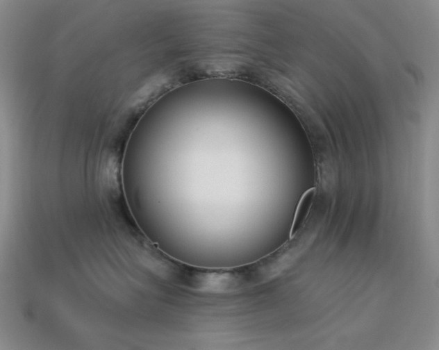 X0000113320575200909141358