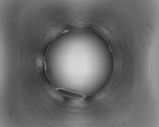 X0000113320576200909141358