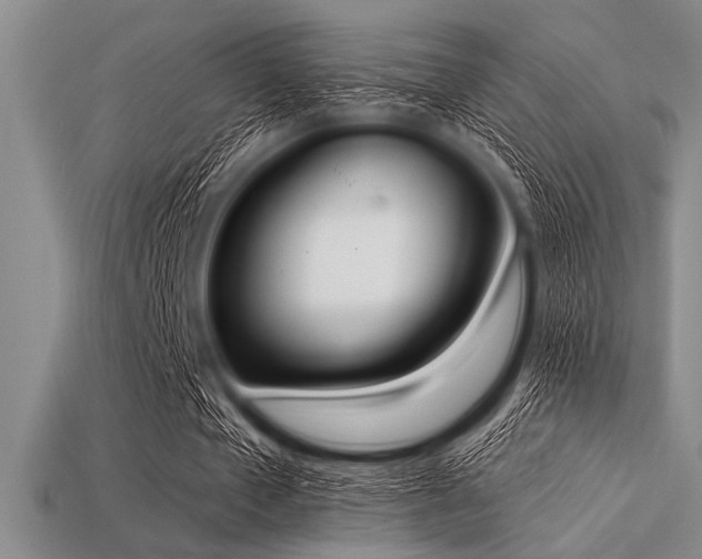 X0000113320577200909141357