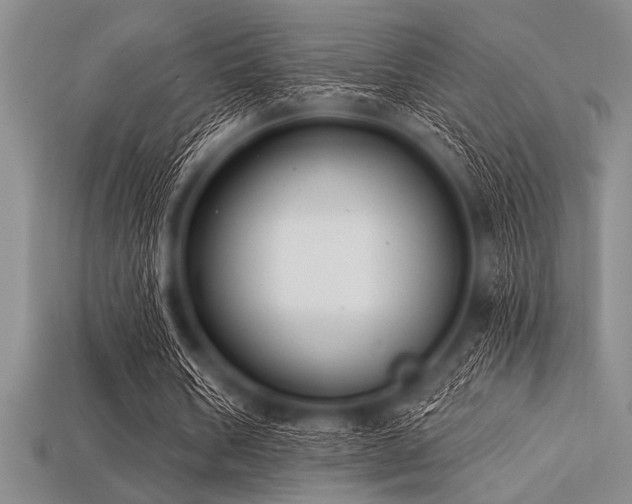 X0000113320578200909141357