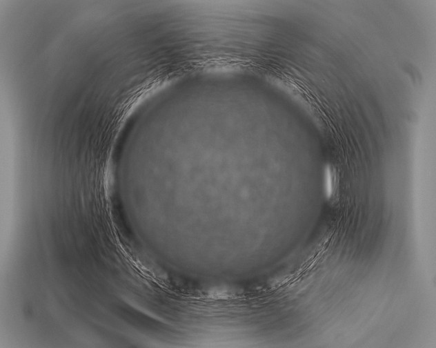 X0000113320579200909141357