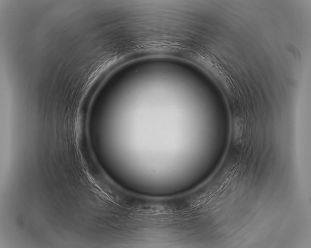 X0000113320580200909141357