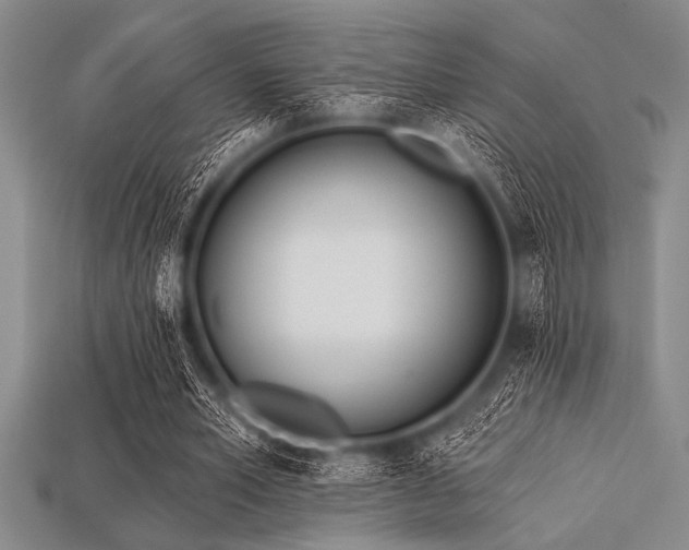 X0000113320581200909141357