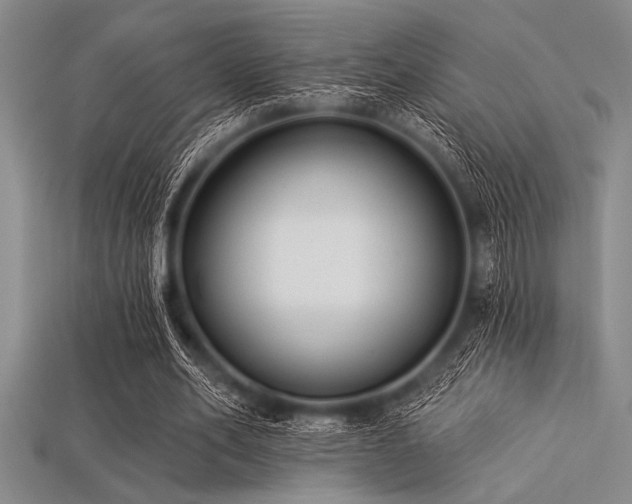 X0000113320582200909141357