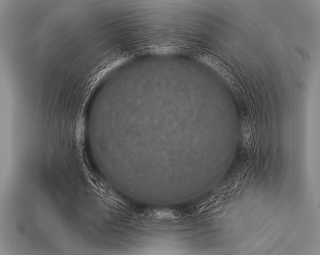 X0000113320583200909141357