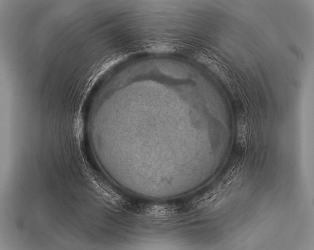 X0000113320584200909141357