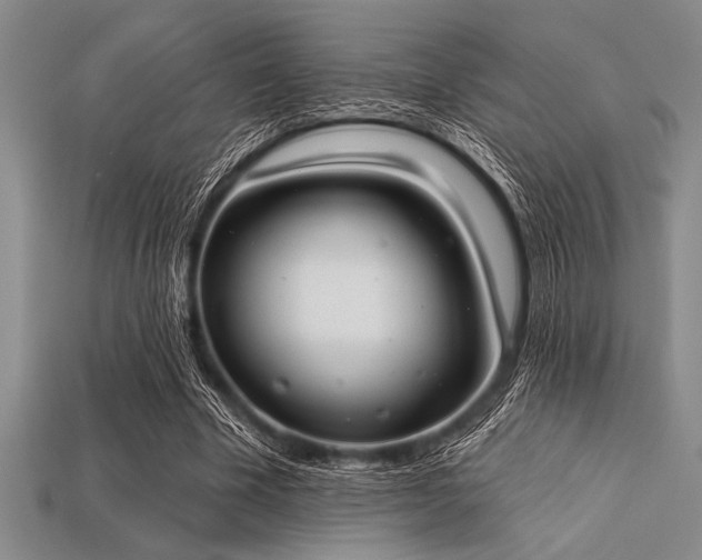 X0000113320585200909141357