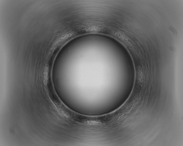 X0000113320586200909141357