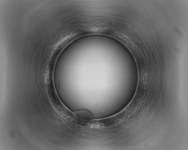 X0000113320587200909141357