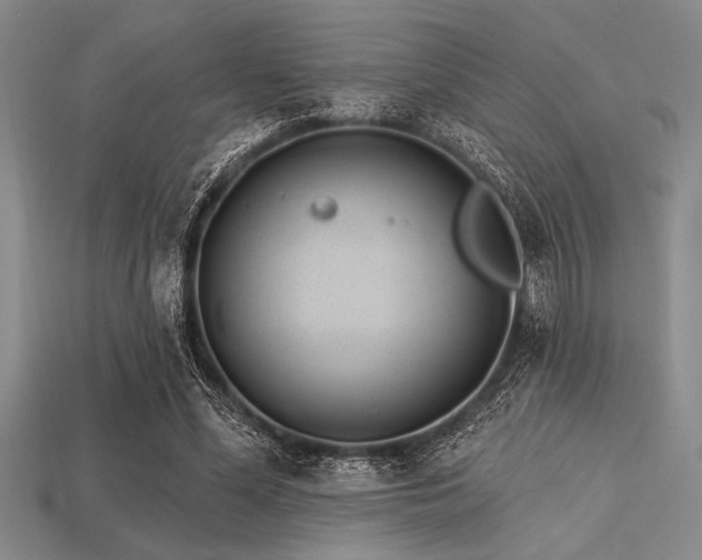 X0000113320588200909141357