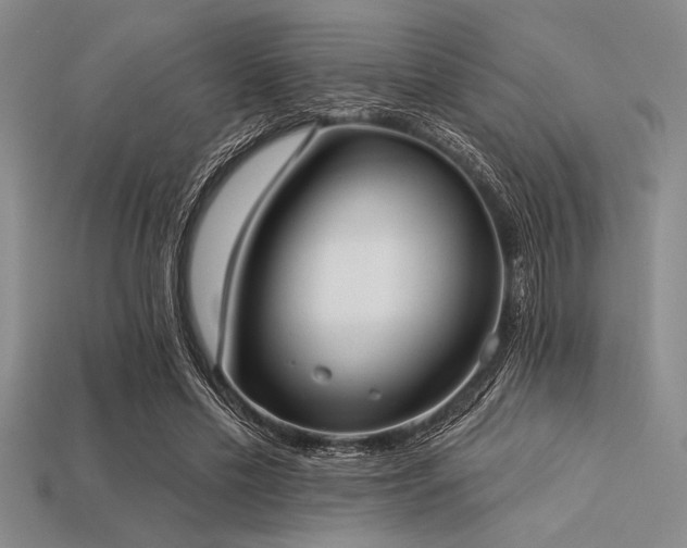 X0000113320589200909141357