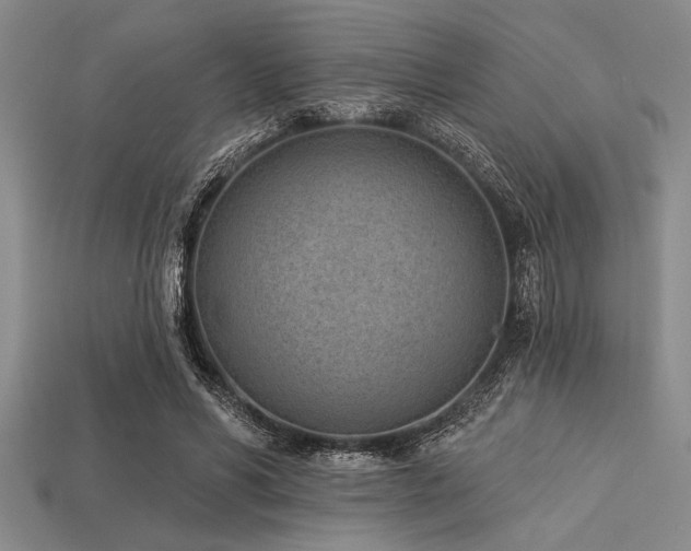 X0000113320590200909141357