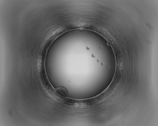 X0000113320591200909141357