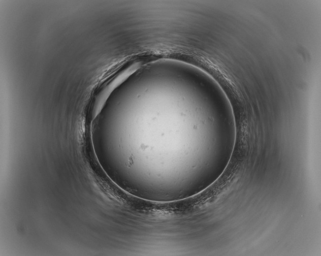 X0000113320592200909141357