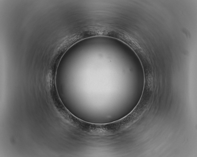 X0000113320594200909141357