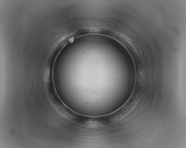 X0000113320596200909141357