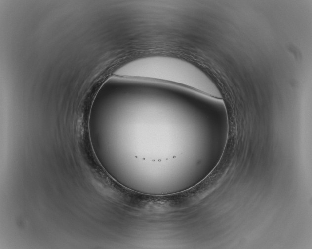 X0000113320599200909141357