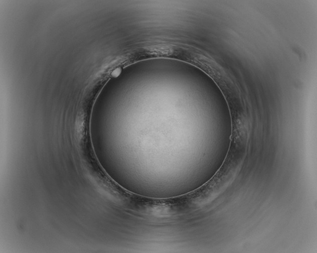 X0000113320600200909141357